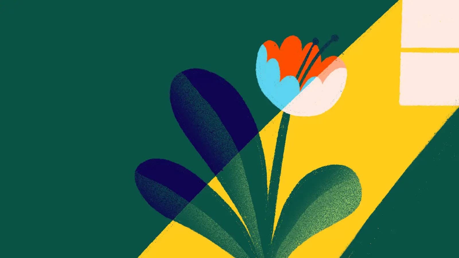 A stylized illustration of a flower with multicolored petals and green leaves, standing in a beam of yellow sunlight coming through a window on a green background.