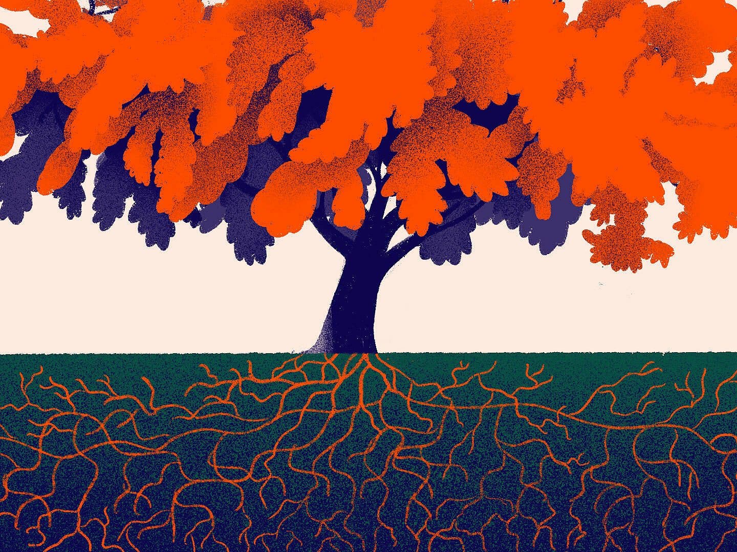 An illustration of a tree with a dark trunk and bright orange foliage stands against a light background. The visible roots spread extensively underground, mirroring the tree's branching pattern above, blending into a greenish ground.