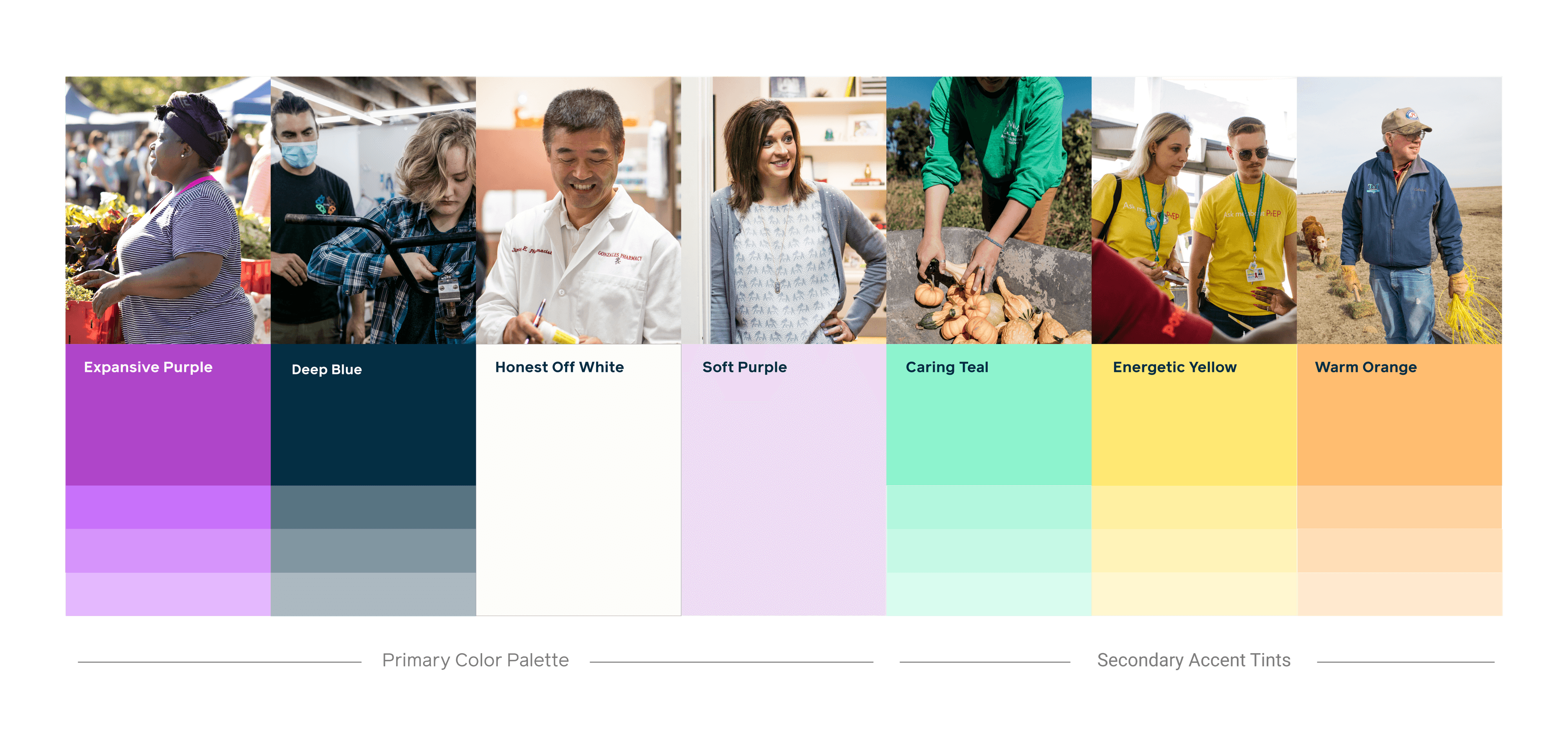 A color palette with seven columns. Each column features a photo above and a named color below: Expansive Purple, Deep Blue, Honest Off White, Soft Purple, Caring Teal, Energetic Yellow, and Warm Orange.