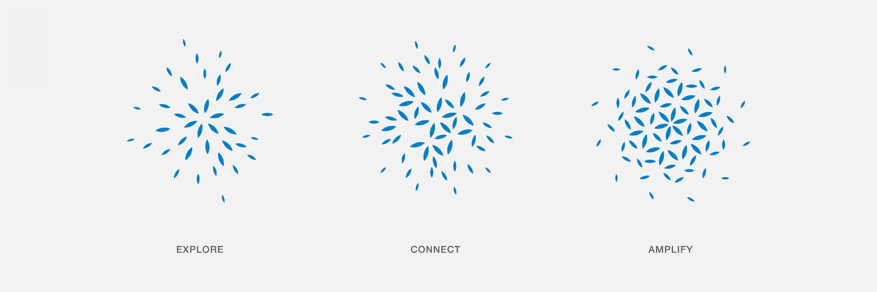 A series of three abstract designs made of blue leaf-like shapes on a white background. Each design shows different configurations with increasing density. Below the designs are the words: "EXPLORE," "CONNECT," and "AMPLIFY" respectively.