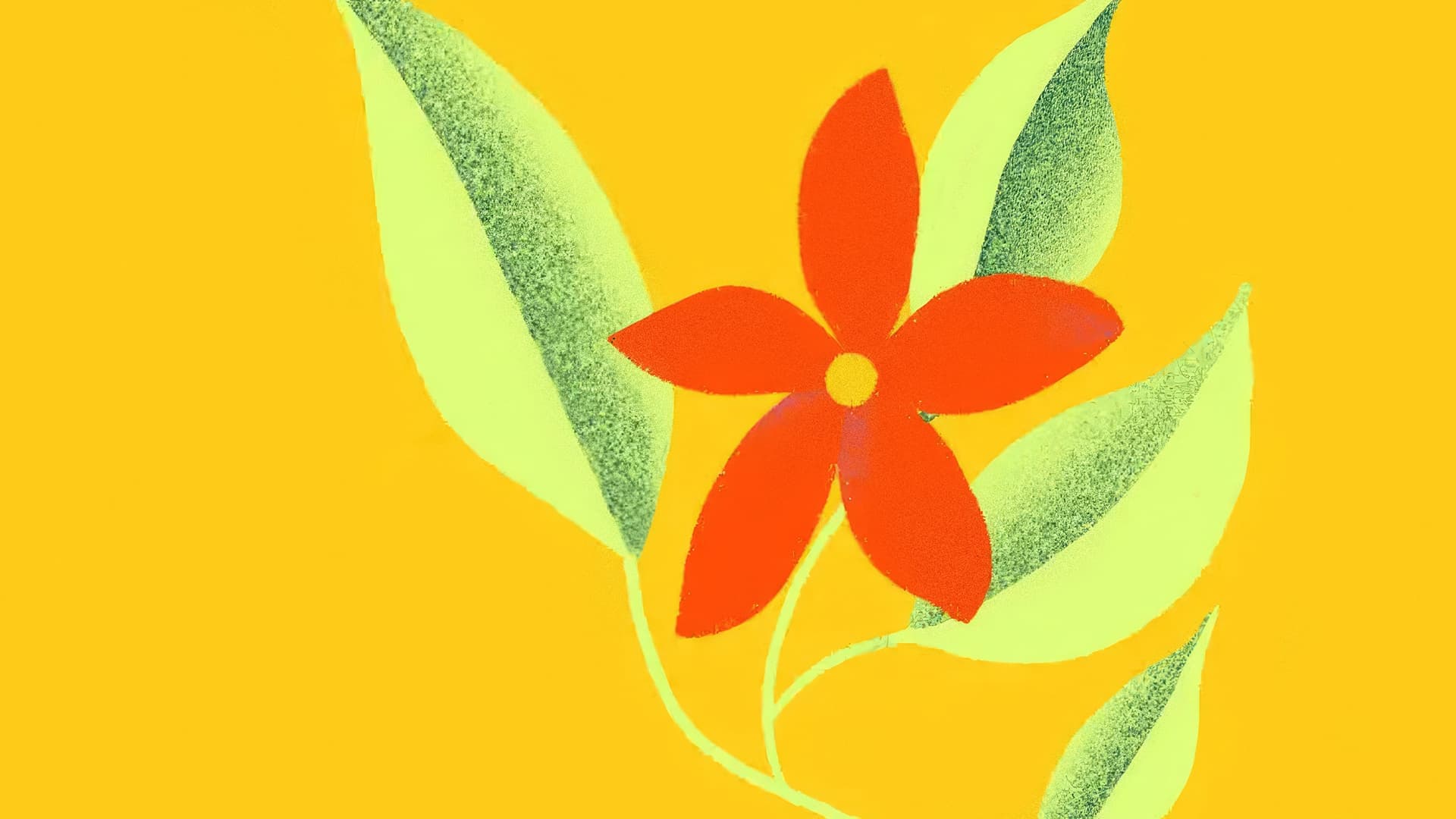 A simple illustration of a red flower with five petals and a yellow center, surrounded by green leaves, set against a bright yellow background.
