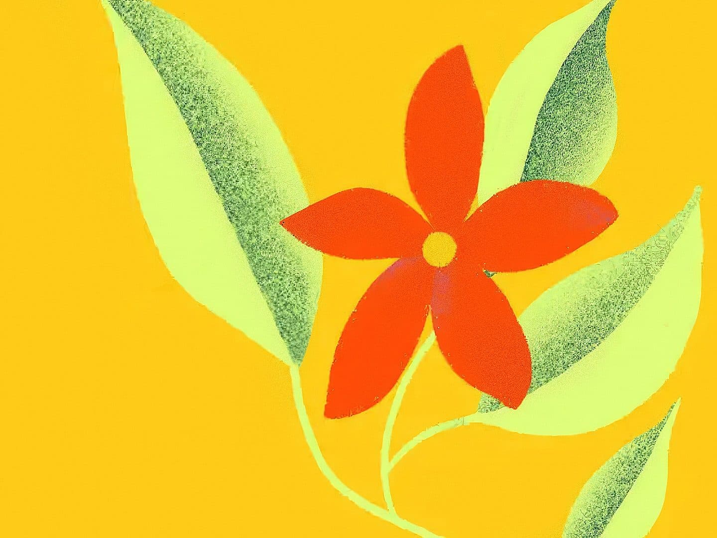 A simple illustration of a red flower with five petals and a yellow center, surrounded by green leaves, set against a bright yellow background.