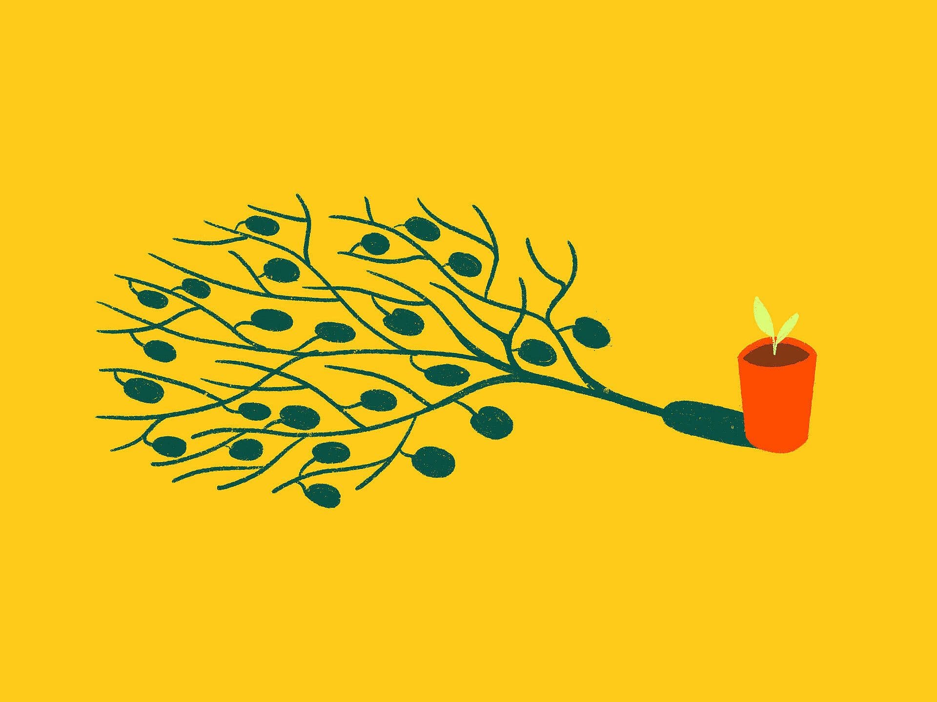Illustration of a small potted plant with two green leaves, connected to a large, sprawling tree with many branches and dark round fruits, lying horizontally. The background is a solid yellow color.