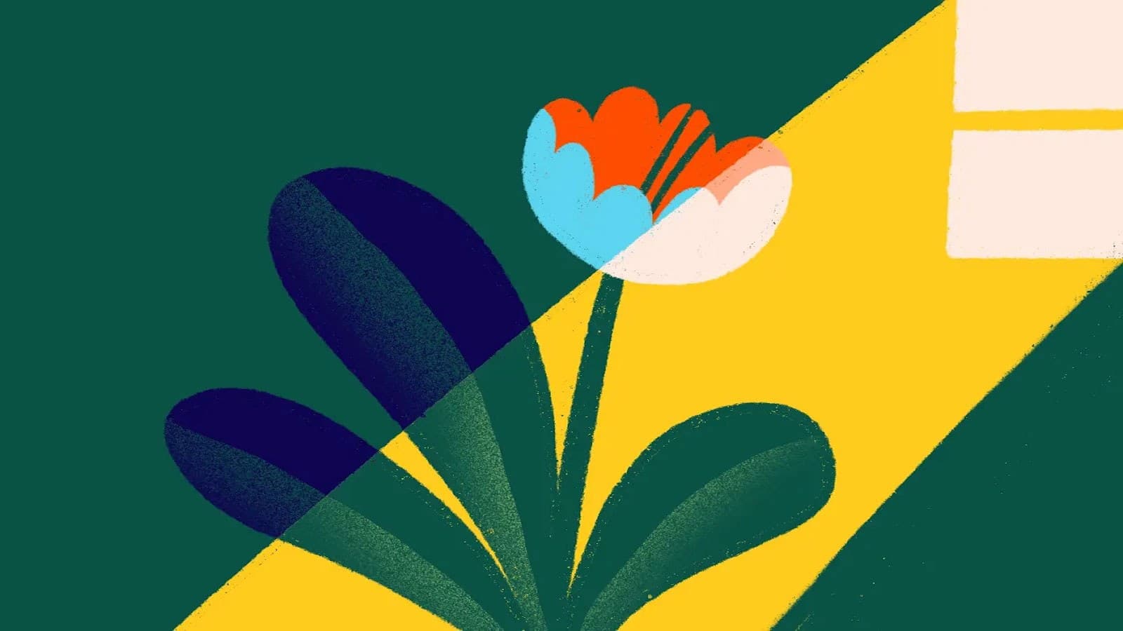 An abstract illustration of a flower with dark green leaves and a red, blue, and white blossom, illuminated by a yellow beam of light from a window on a dark green background.