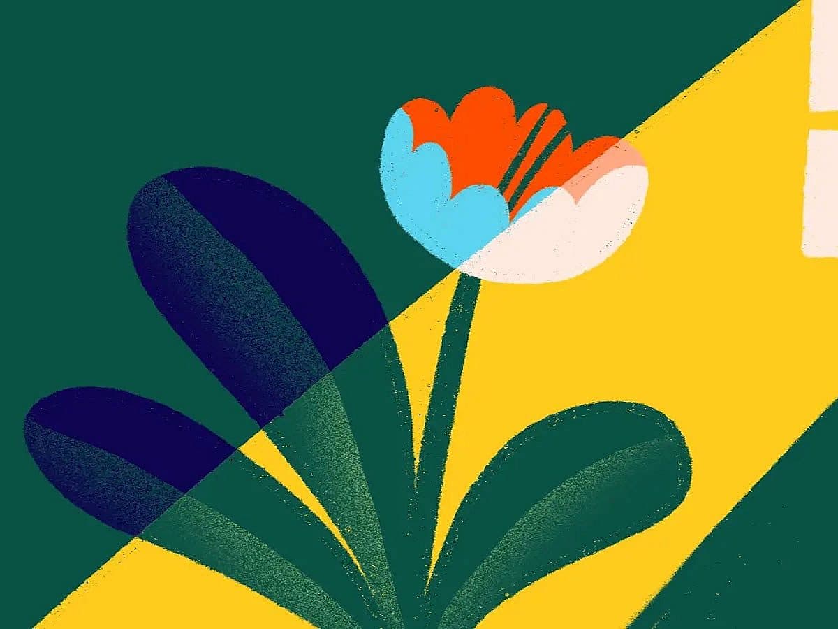 An abstract illustration of a flower with green leaves and a red, blue, and white blossom, illuminated by a yellow beam of light from a window against a dark green background.