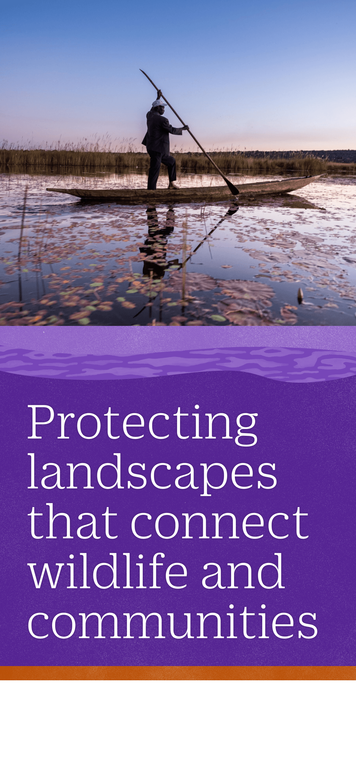 A person paddles a canoe on a calm lake at sunset. Below, text reads: "Protecting landscapes that connect wildlife and communities.