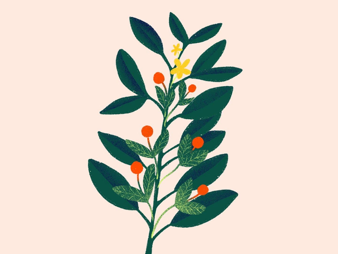 Illustration of a leafy green plant with clusters of red berries and small yellow flowers, set against a plain beige background.