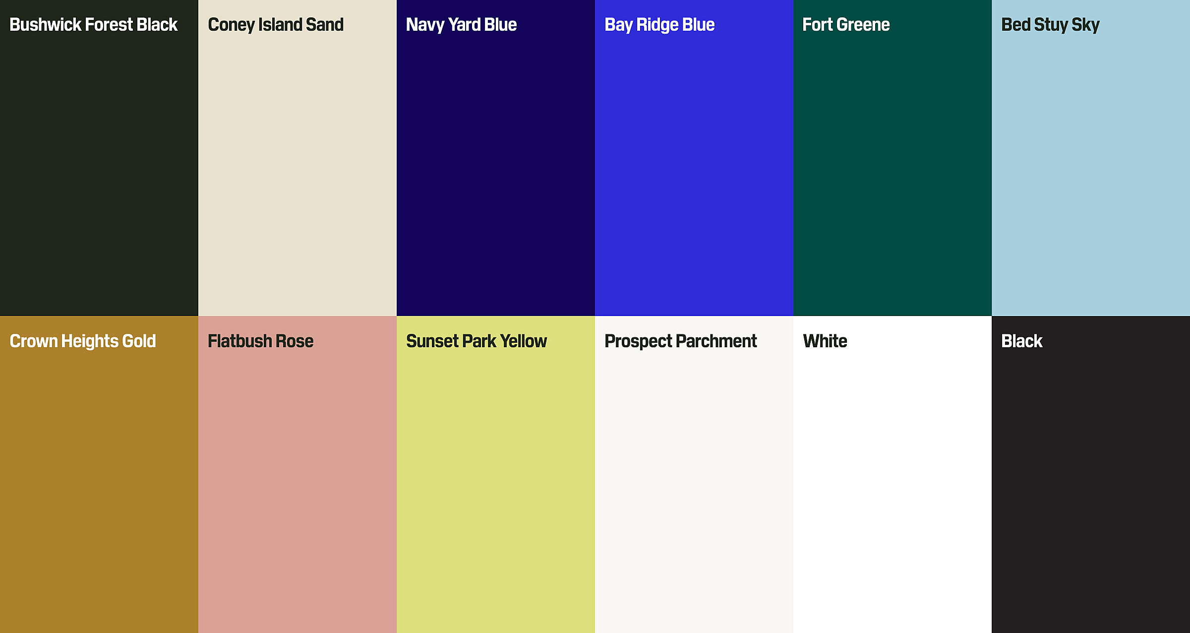 BDS Case Study Assets Color