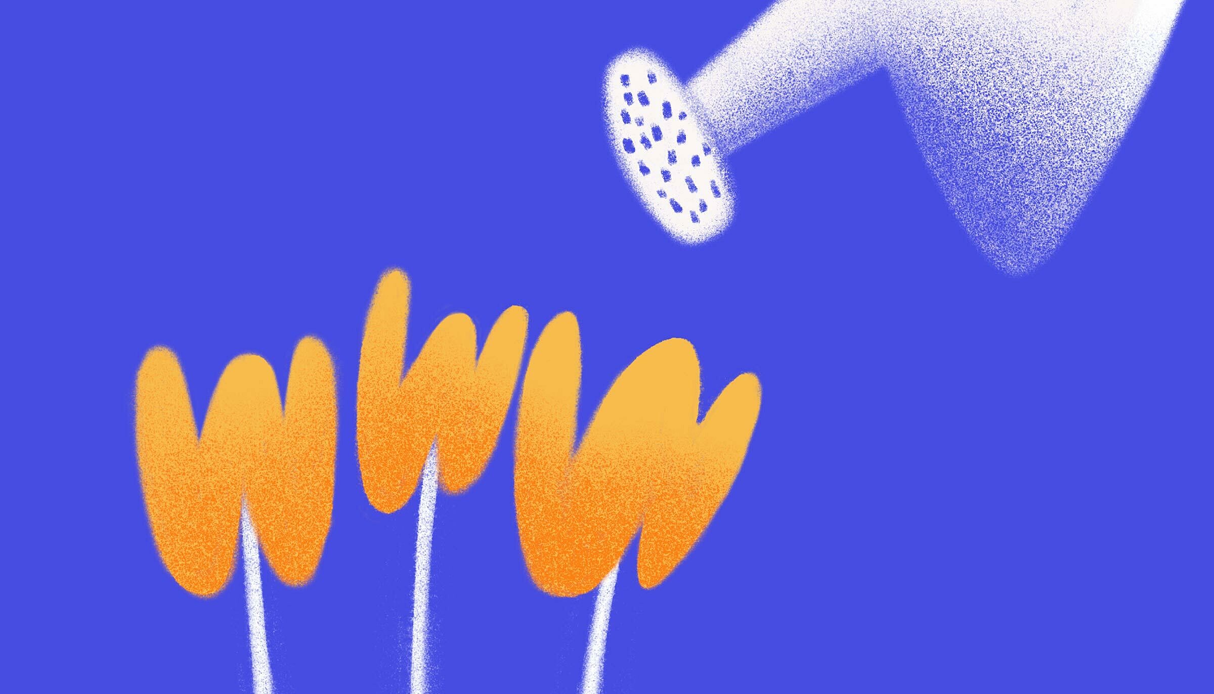 Website Upkeep
